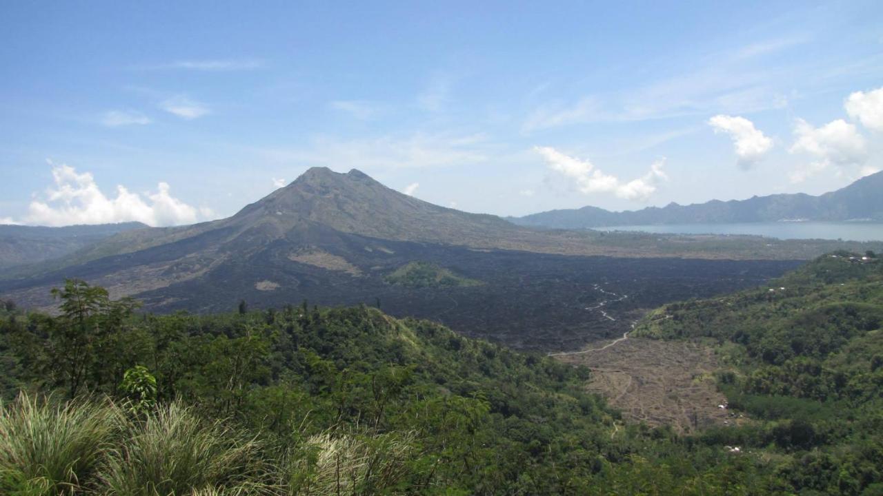 Damgan Julah